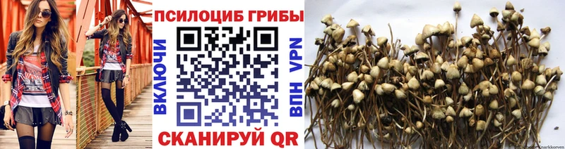 как найти закладки  Нестеров  MEGA зеркало  Галлюциногенные грибы мухоморы 